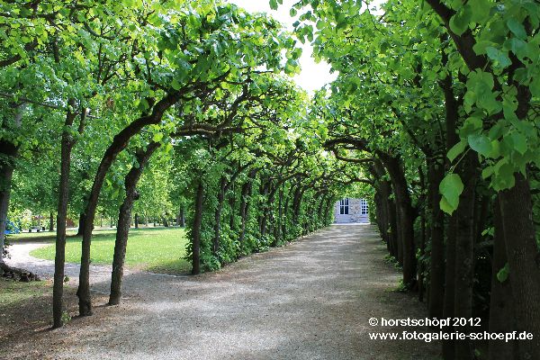 Bayreuth Eremitage - Laubengang a Alten Schloss